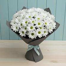 Букет цветов из:  Хризантемы в Королёве