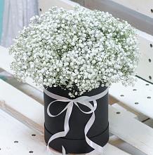 Цветочная композиция из Гипсофила в шляпной коробке #REPLACE_PRED# Королёве