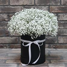 Цветочная композиция из Гипсофила в шляпной коробке в Королёве