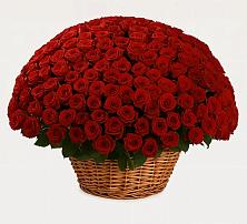 Премиум букет из: Розы в Королёве